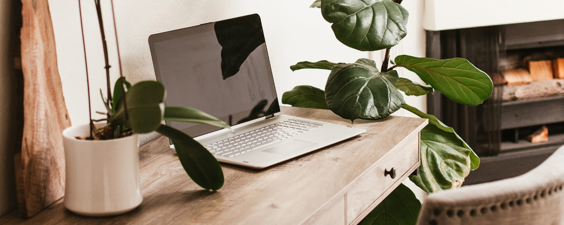 Why I'm Reigniting My Art Blog