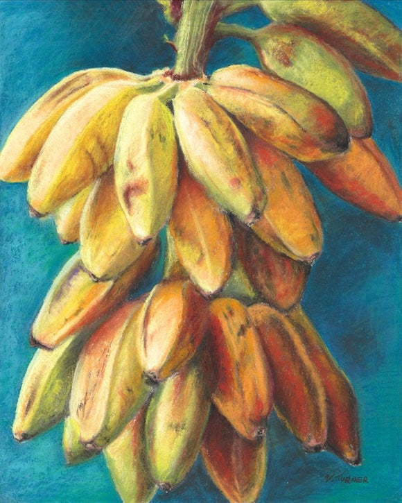 Plantain