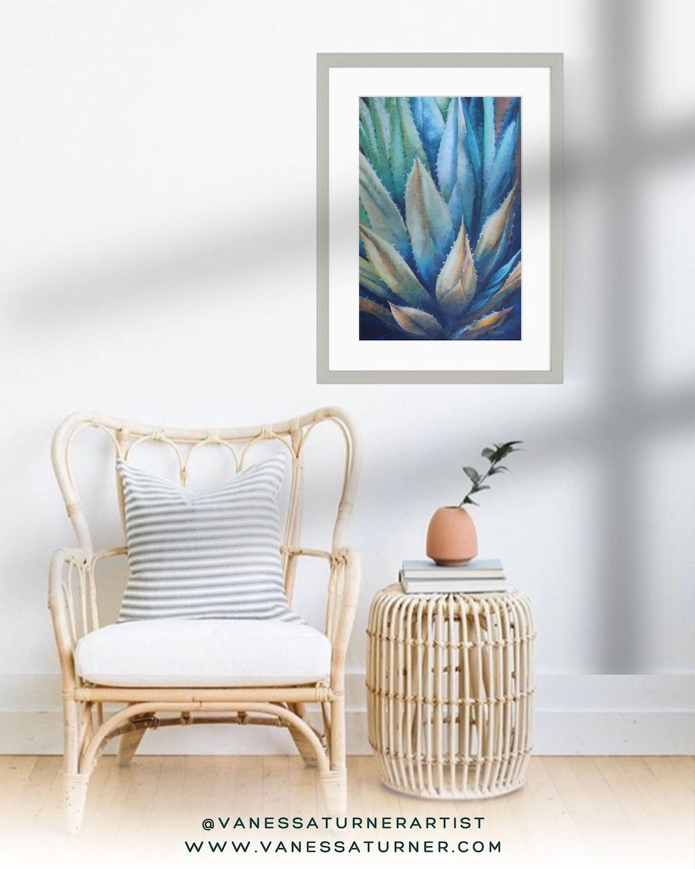 Aloe In Morning Light