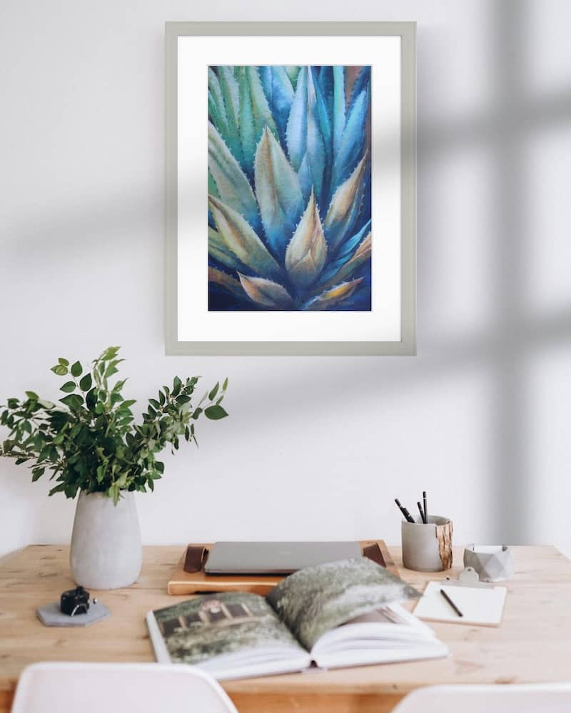 Aloe In Morning Light