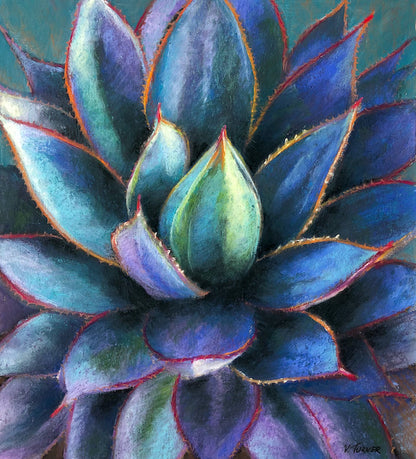 Agave