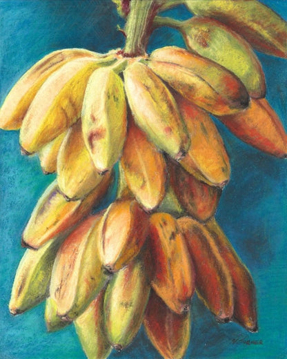 Plantain (Original Painting)